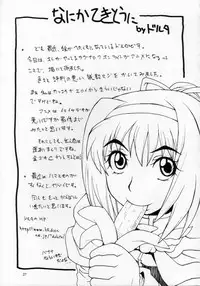 (Mimiket 10) [MANGANA (Doluta, Nishimo)] ROGNARAK THE NYANNYAN EPISODE 1.0 (Ragnarok Online)