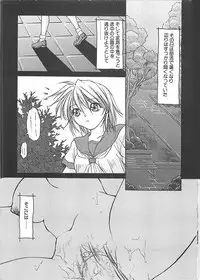 [Shizaki Masayuki] Abyssinian