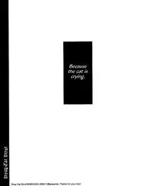 [NINEKOKS (Kyuugou)] Stray Cat Strut #5.5 (Full Metal Alchemist) [English]