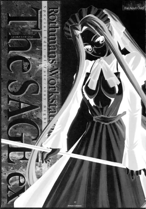 The SAGE ex Yoru Nuki Rider-san