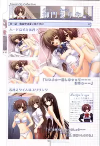 Otome wa boku ni koi shiteru Visual Fanbook (Otoboku)