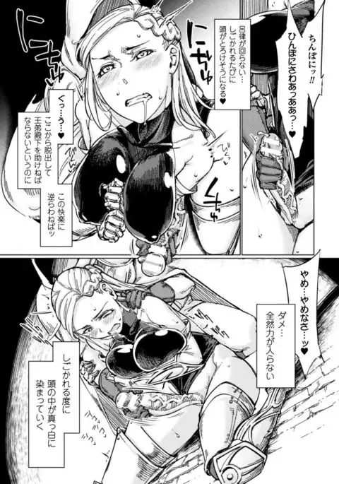 Seigi no Heroine Kangoku File Vol. 15