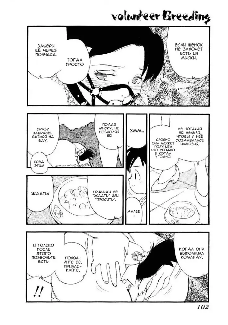 Volunteer Breeding Ch.5