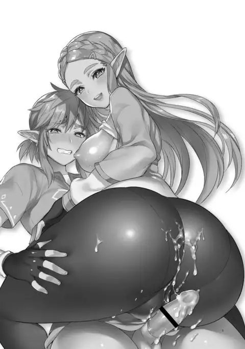 Hyrule Hanei no Tame no Katsudou! | ¡Actividades para el futuro de Hyrule!