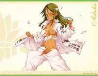 Eiyuu*Senki GOLD Visual Fanbook