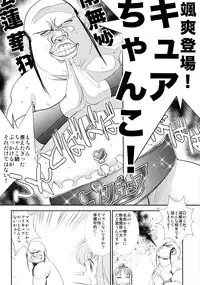 (C79) [Kacchuu Musume] LOXONIN (Heart Catch Precure!)