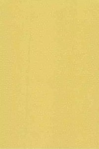 Rendezvous on the boat 4