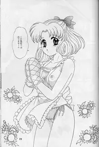 (C56) [Chandora & LUNCH BOX (Makunouchi Isami)] Lunch Box 38 - Toshishita no Onnanoko 1-2 Soushuuhen (Kakyuusei)