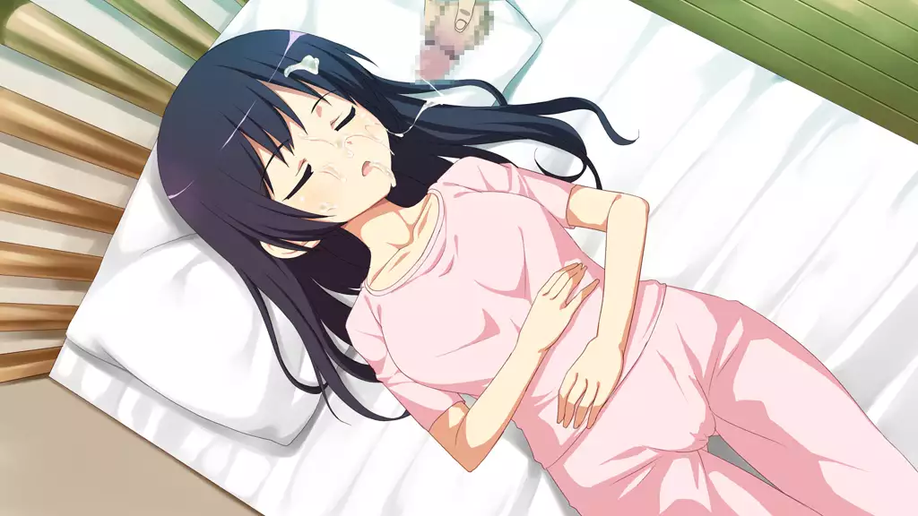 Imouto Tousatsu Kiroku