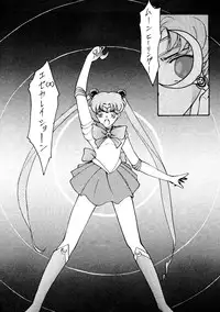 [Himitsu Kessha Tsuki to Yousei] Re-Flesh! (Sailor Moon)