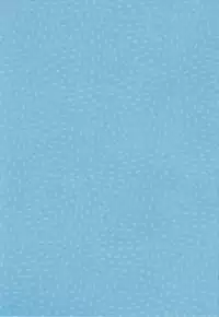 (SC2017 Summer) [Imomuya Honpo - Singleton (Azuma Yuki)] Hatsukoi no Omokage [Chinese] [CE家族社]