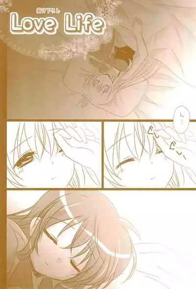 (C89) [Ameiro (Nanashiki)] Love Life -NanoFei nano Sairoku-shuu 3- (Mahou Shoujo Lyrical Nanoha)