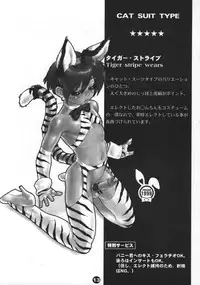 (Shotaket 6) [2H (Various)] Bunny Boys Collection 2