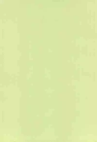 (SC62) [ZCC (Chikichiko)] LAMBS (Danganronpa)