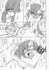 (C68) [EINSATZ GRUPPE (Charlie Nishinaka)] PRISONER 6 The song of the fake (Mobile Suit Gundam SEED Destiny)