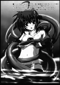 (C72) [Yoru no Benkyoukai (Fumihiro)] Vita no Hon 3 | Vita Book 3 (Mahou Shoujo Lyrical Nanoha) [English] [SaHa]