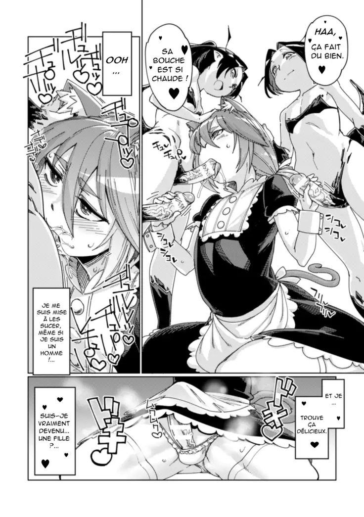 Wana Fumi Cat | un piège pour un chat