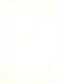 [Feeld Hern Halle (Various)] Perfect Lum (Urusei Yatsura)