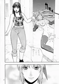 [From Japan (Aki Kyouma)] FIGHTERS GIGAMIX FGM Vol.17 (Dead or Alive, SOULCALIBUR)