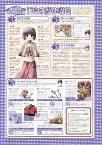 Canvas Sepia iro no motif Visual Fan Book