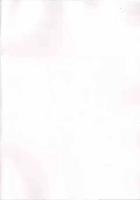 Fairy Chinpo Lecture