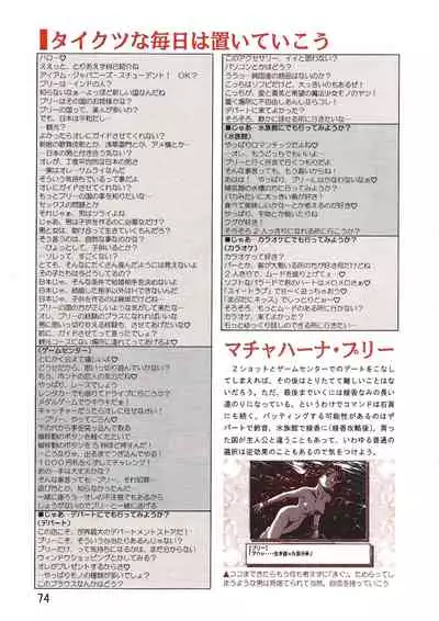 PC Bishoujo Software Strategy Book: Strategy King 2