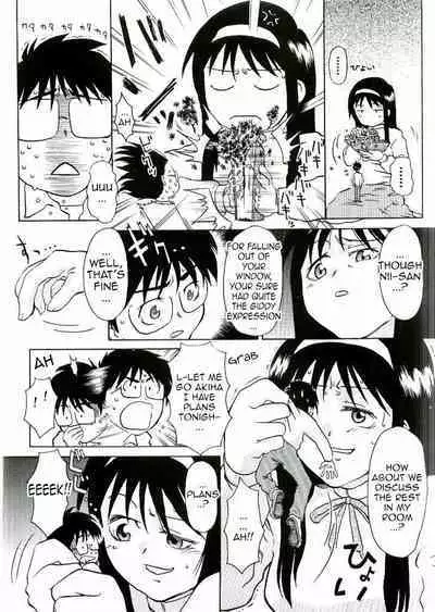 Nii-san no Shitsukekata