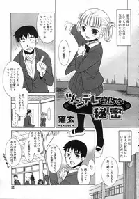 Comic Rin Vol. 25 [2007-01]