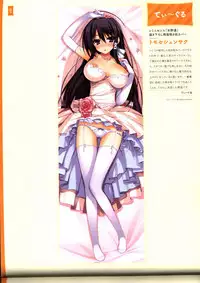 Dakimakura Cover Gashuu Bishoujo Game Hen